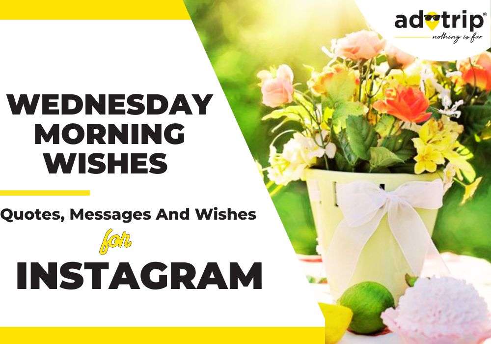 Wednesday Morning Wishes, Quotes And Captions For Instagram